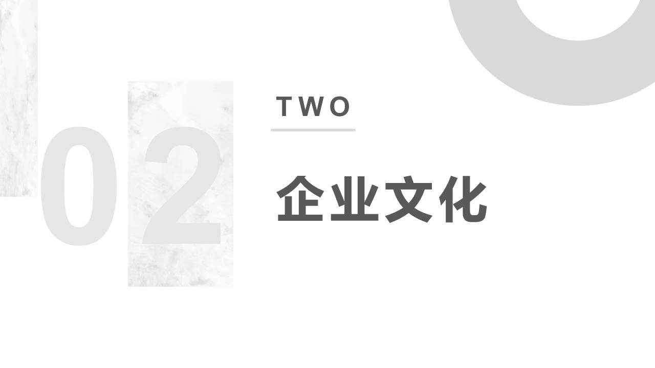 公司介绍 (50).pptx